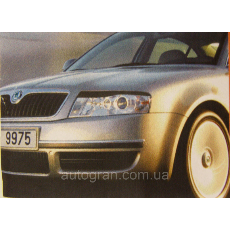 Реснічки на фари Skoda Superb 2002-2008 тип 1